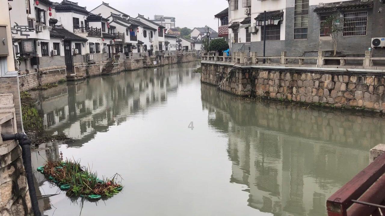救援贪玩的大象
